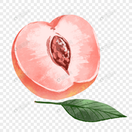 麻豆传媒下载APPAPP应用